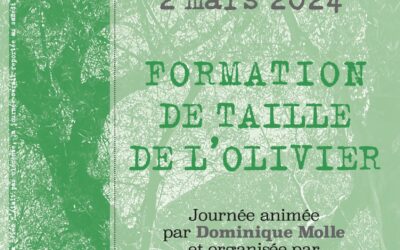Samedi 2 mars 2024 : journée de formation sur la taille des oliviers