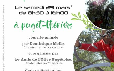 Samedi 29 mars : Formation et chantier participatif sur la taille des oliviers