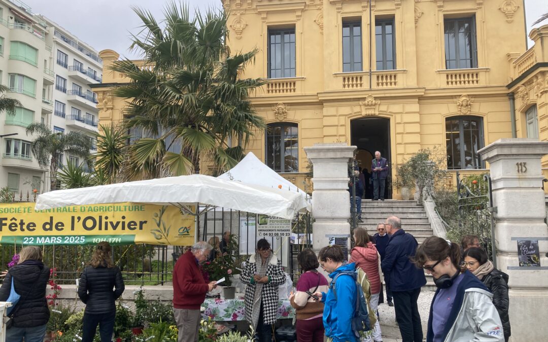Samedi 22 mars, Fête de l’olivier à Nice