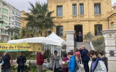 Samedi 22 mars, Fête de l’olivier à Nice