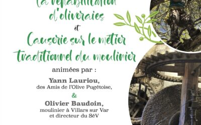 Conférence sur la réhabilitation d’oliveraies et le métier traditionnel du moulinier