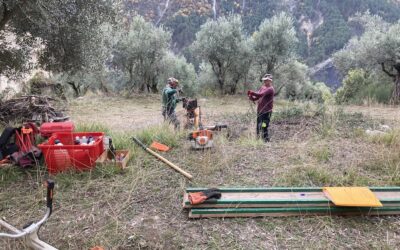 Les samedis d’AOP en novembre
