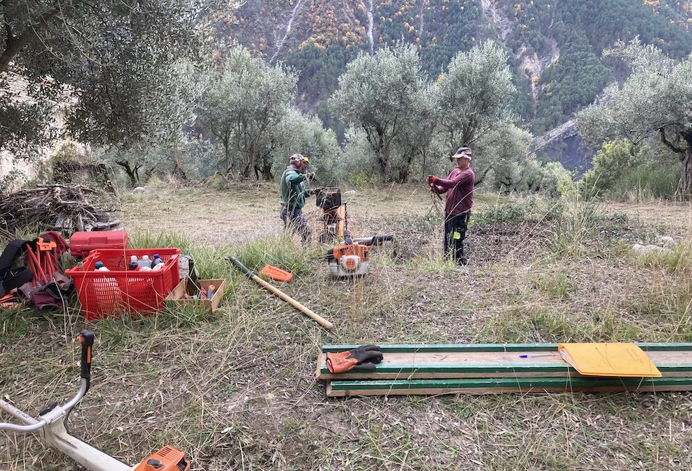 Les samedis d’AOP en novembre