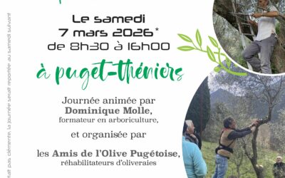 Samedi 7 mars, formation de taille
