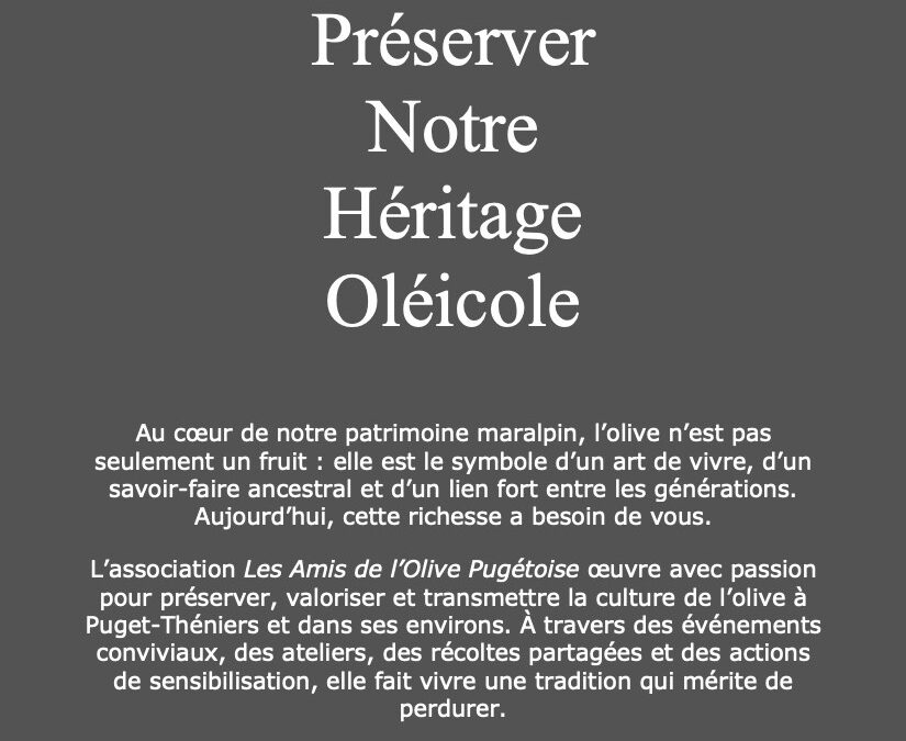 Les Amis de l’Olive Pugétoise : une aventure humaine et locale à ne pas manquer